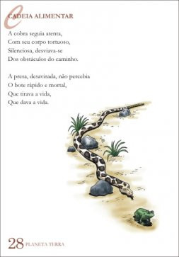 CADEIA ALIMENTAR