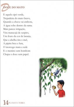 DOCE DO MATO