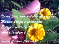 Um canto às flores