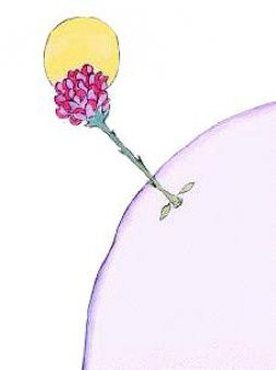 A flor