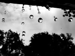 Gotas