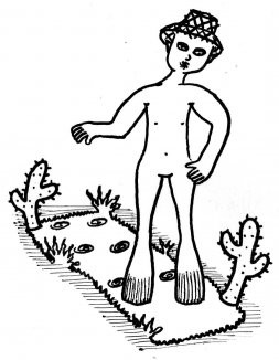 Pé-de-Garrafa 
