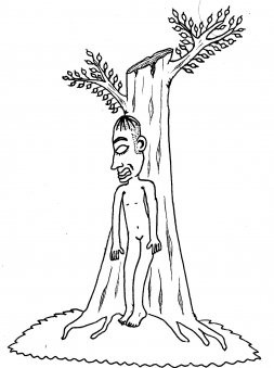 Zamba