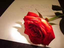 Cartas de amor I