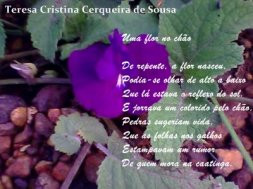 Uma flor no chão