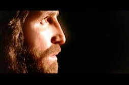 VIVER COM CRISTO