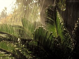 A Chuva