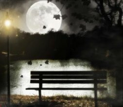  A Noite