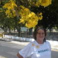 Maria I R Pereira