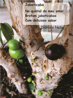 Jaboticaba