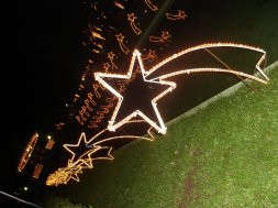 Pré Natal