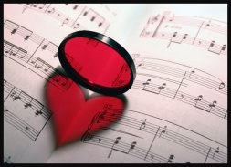 Amorsicalidade