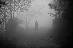 Densa Neblina