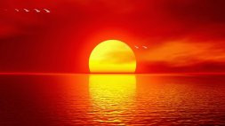 Festa do Sol
