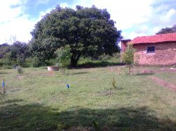 DESCANSO AO SOM DA NATUREZA