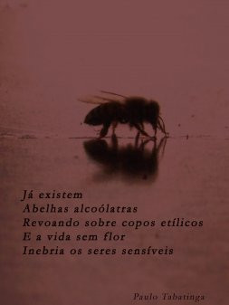 Abelhas