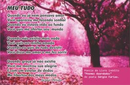 MEU TUDO