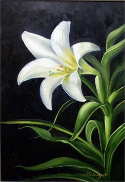 Liliana,Lírio.