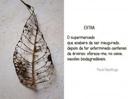 Extra