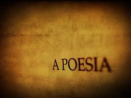 Poesia para tudo e para todos