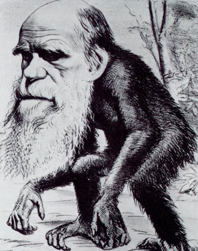 Humano Animal