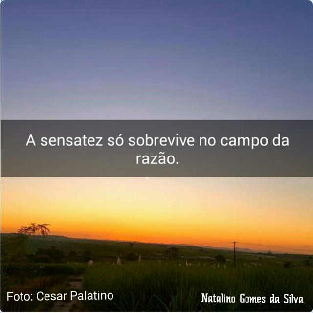 Razão 