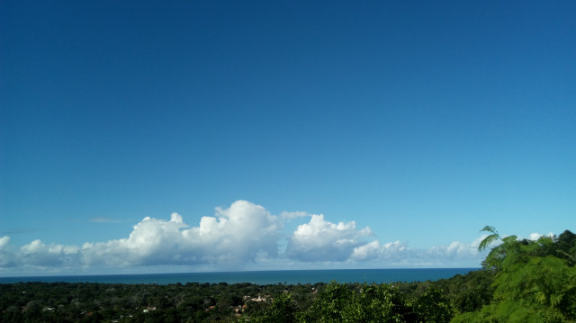       Tarde demais...ela se apaixonou...