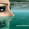 Pedrotaunay G Couto